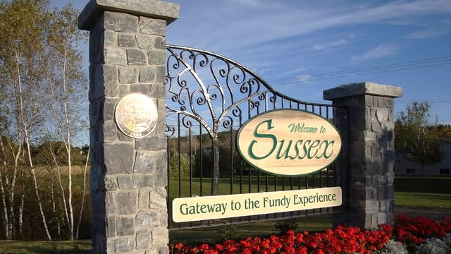 JoyT5 and Rippa Excavators for sale in Sussex, New Brunswick, Canada