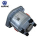 JoyT5 Rippa R10 hydraulic gear pump for sale Canada mini excavator parts high performance replacement for Rippa R10 hydraulic system durable excavator parts Canada and excavator parts USA