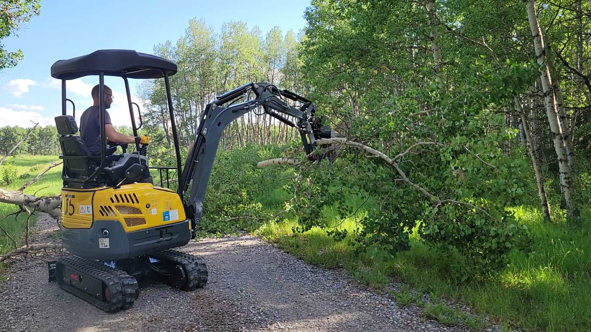 JoyT5 JT5200 2 ton mini excavator with Kubota D902 engine clearing tree branches using hydraulic thumb. Compact zero-tail mini digger with U-boom and side swing boom for landscaping, utility work and construction.
